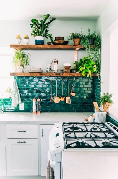 plants in solid oak kitchen