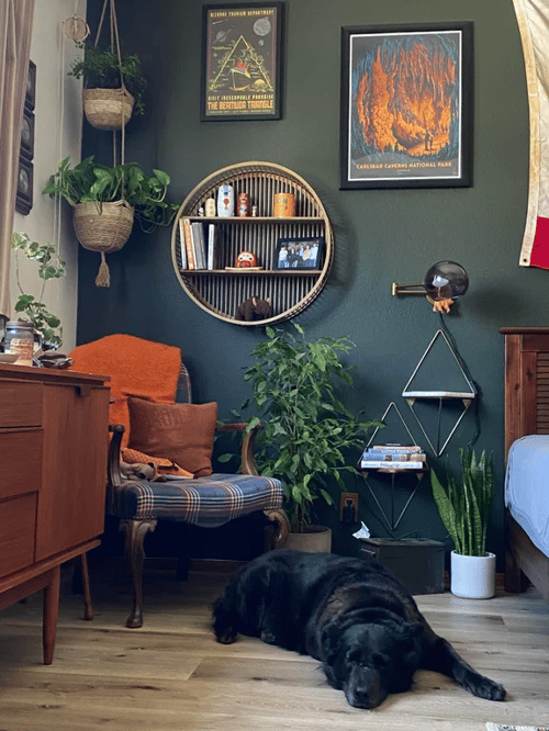 cosy reading corner with dog