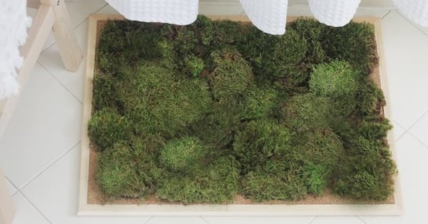 moss rug