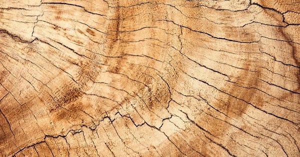 sustainable wood grain from ethically managed forests